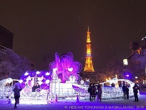 ></p></div>
			</div>
		</article>
		<div class=